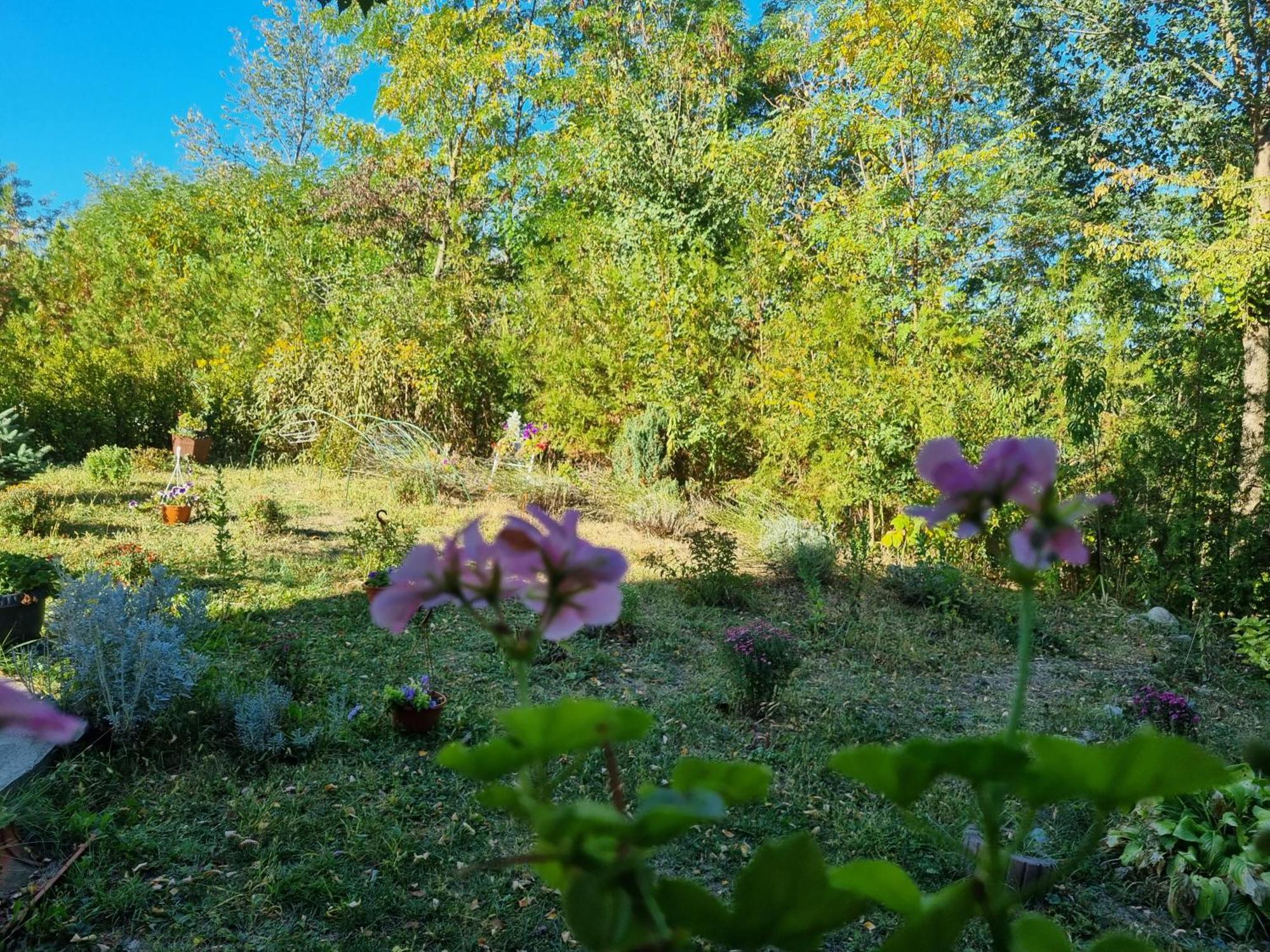 Pensiunea Agroturistica Diana Măgura Exteriör bild